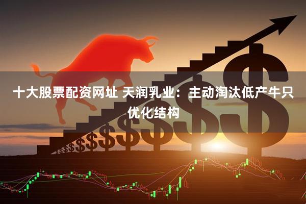 十大股票配资网址 天润乳业：主动淘汰低产牛只优化结构